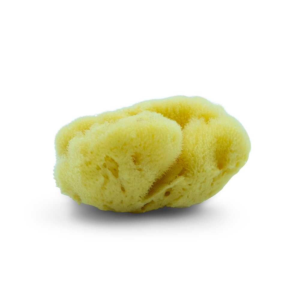 Naturschwamm